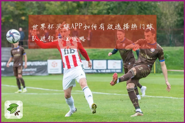 世界杯买球APP如何有效选择热门球队进行下注攻略