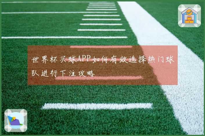 世界杯买球APP如何有效选择热门球队进行下注攻略