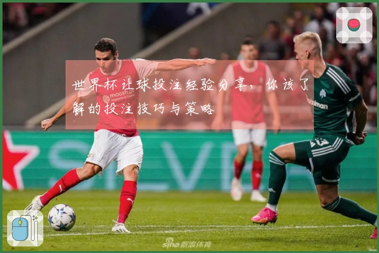 世界杯让球投注经验分享，你该了解的投注技巧与策略