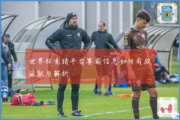 世界杯竞猜平台赛前信息如何有效获取与解析