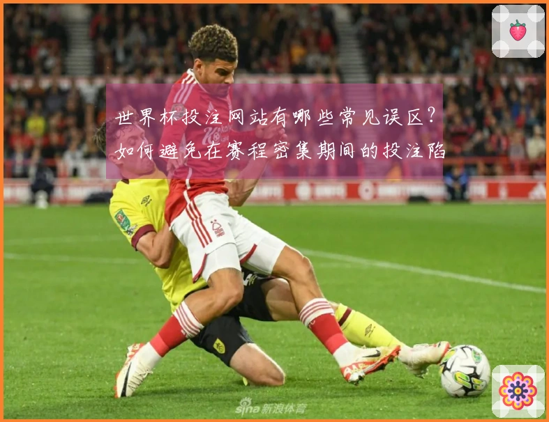 世界杯投注网站有哪些常见误区？如何避免在赛程密集期间的投注陷阱？